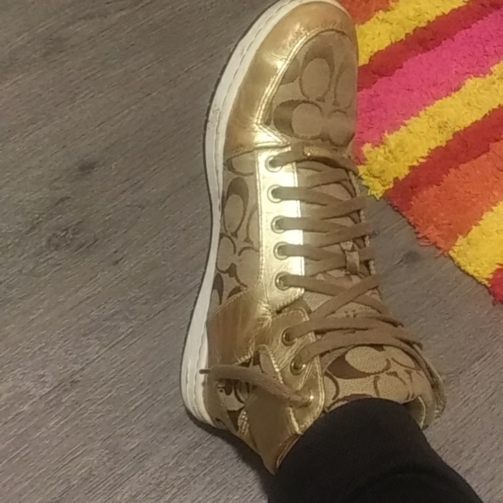 COACH Norra hi-tops
